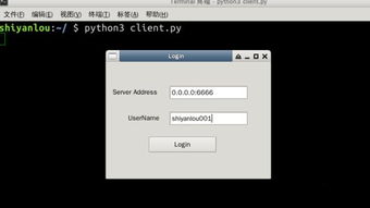 Python碼農開發專屬聊天軟件，輕松賺取三千元